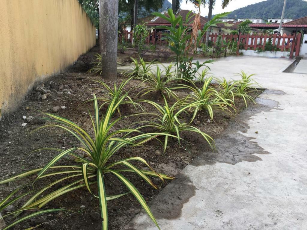 The Garden Vacation Home 卢穆特 外观 照片